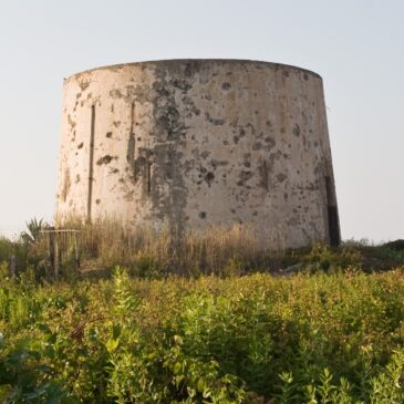 Torre Mazzone e Torre Bianca di Torre Faro